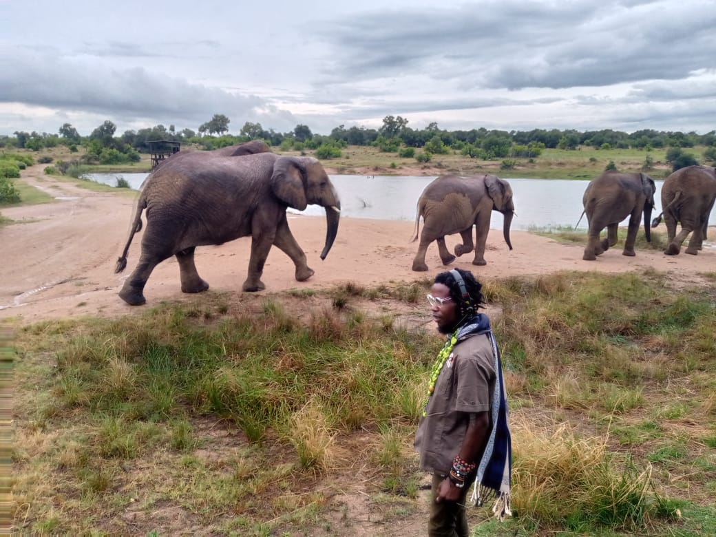 Wildlife Conservation Documentary